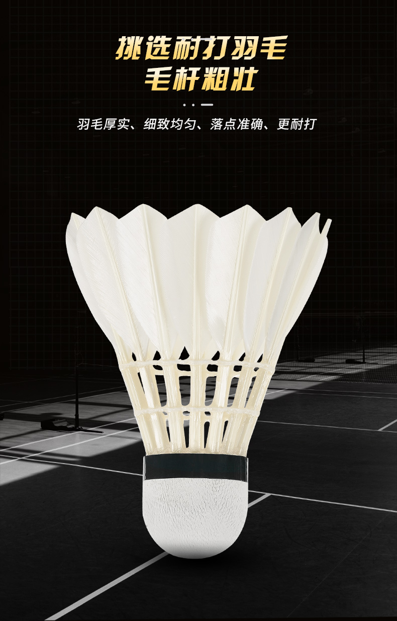 ใหม่12ชิ้นมืออาชีพลูกขนไก่ G20 - Badminton Event บทวิจารณ์และราคา