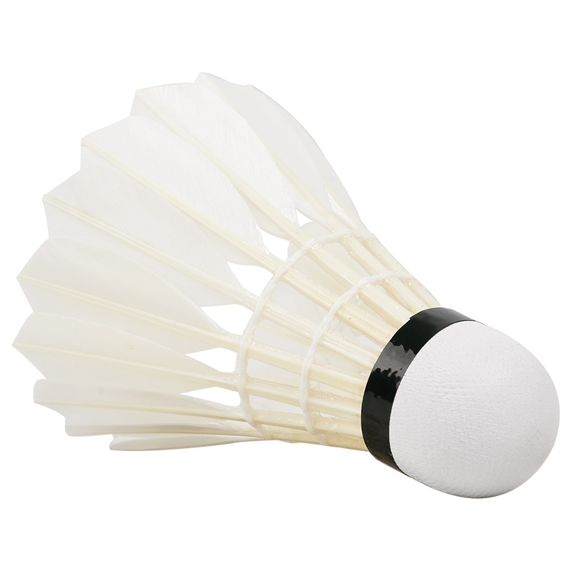 ใหม่12ชิ้นมืออาชีพลูกขนไก่ G20 - Badminton Event บทวิจารณ์และราคา